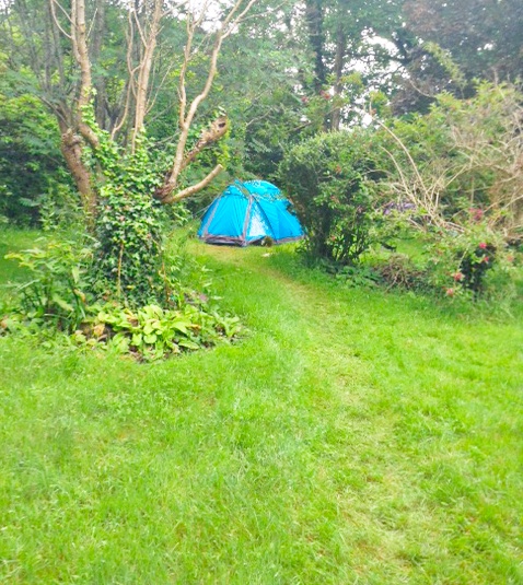 grass pitch with a tent in south-west part of the garden